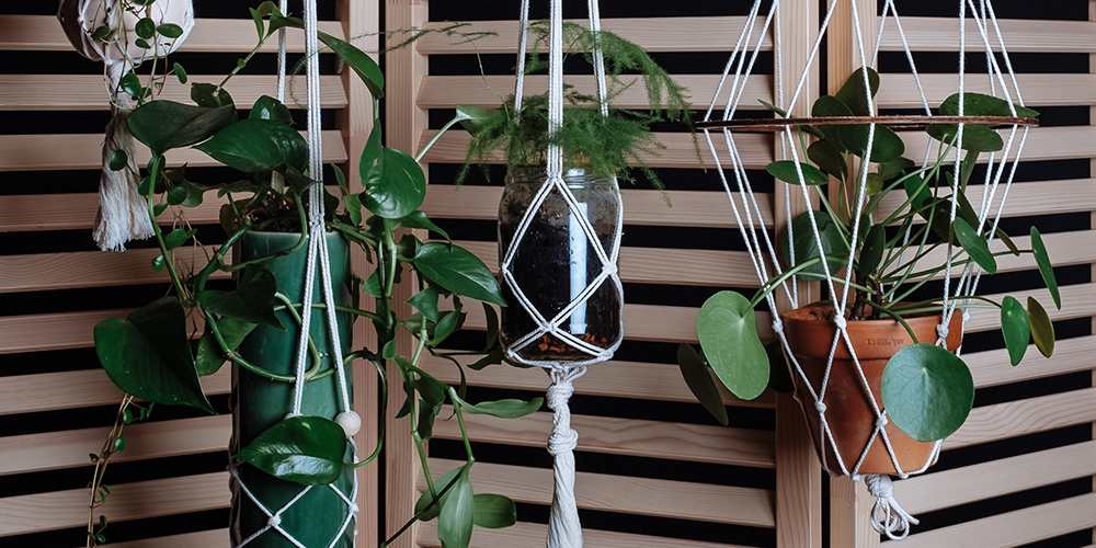 Atelier macramé suspension