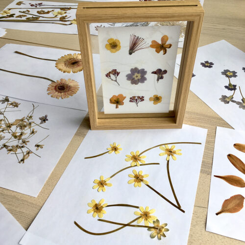 Atelier cadre fleurs pressées