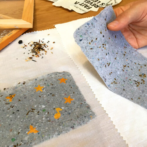 Atelier papier ensemencé
