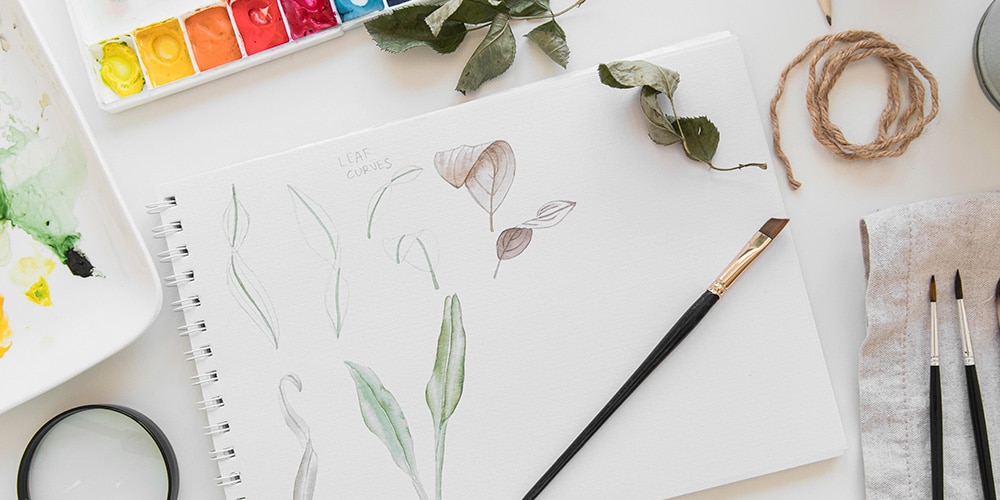 aquarelle botanique